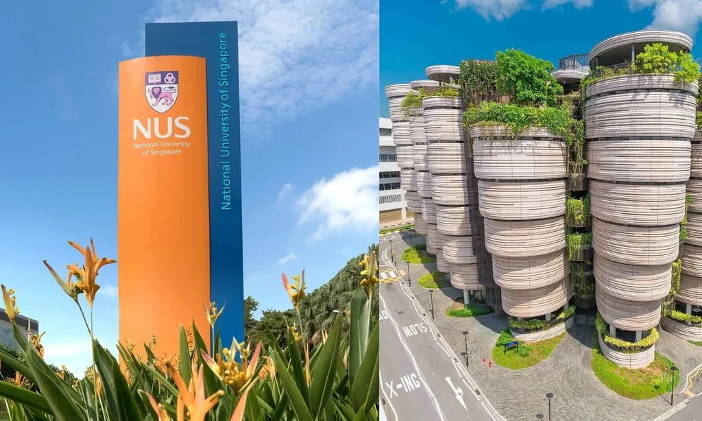World's second-richest country tops Southeast Asia with two universities in global materials science top 10